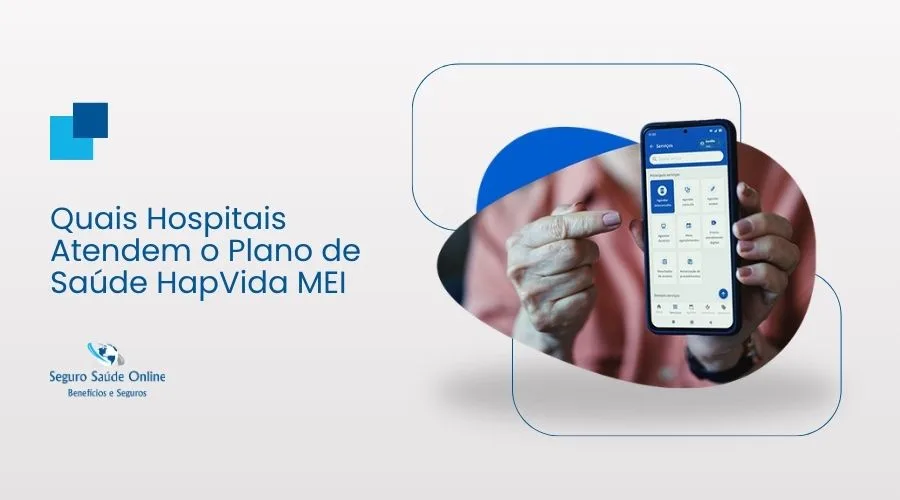 Interface do App GNDI Easy sendo acessada por um microempreendedor pelo celular