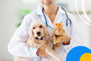 Veterinário pode ser MEI?